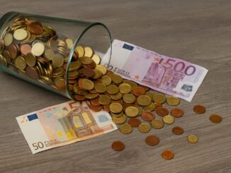 Wer hat das Sagen im Haushalt